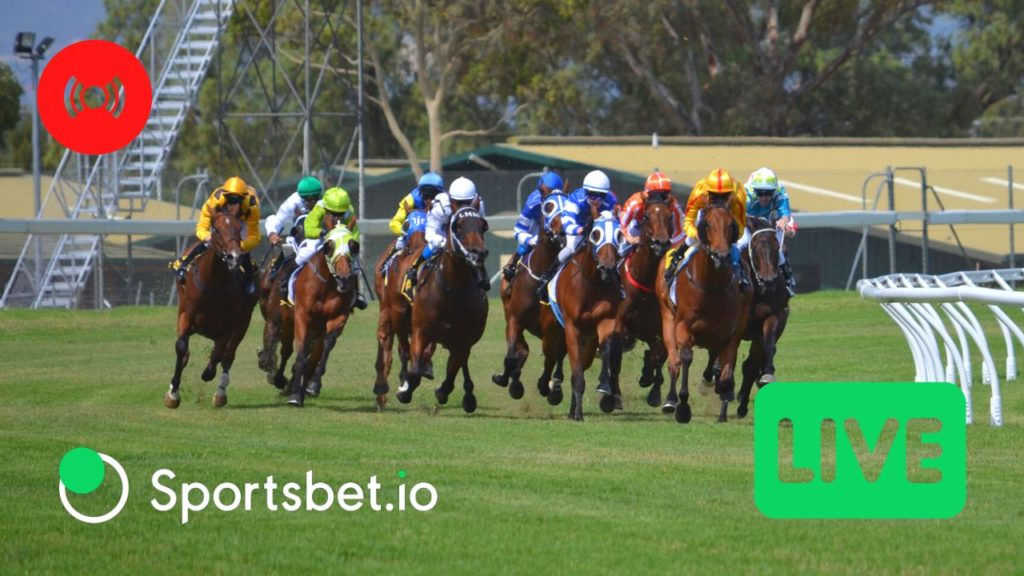 Sportsbet io horse racing betting